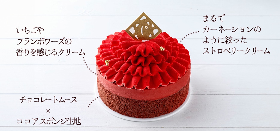 フラワーケーキ＜ショコラ＆フレーズ＞の説明