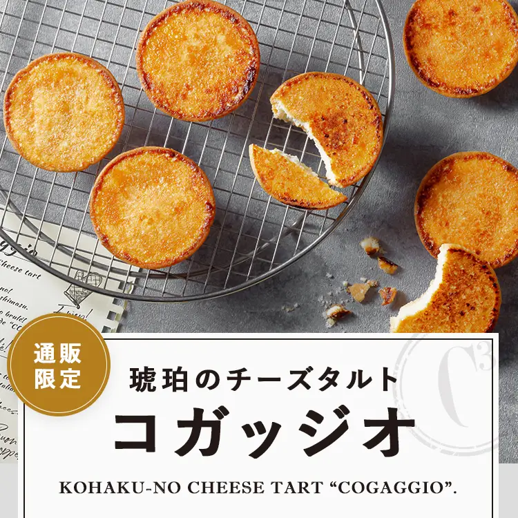 琥珀のチーズタルト コガッジオ