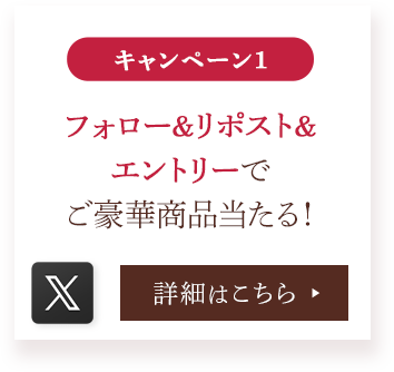 X フォロー&リポスト&エントリーでご豪華商品当たる!