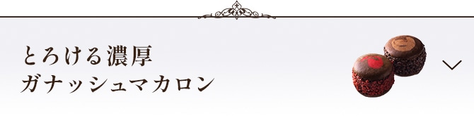 とろける濃厚ガナッシュマカロンセクションに遷移