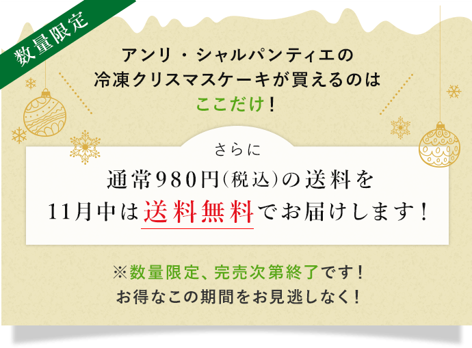通常980円(税込)の送料を11月中は送料無料でお届けします!
