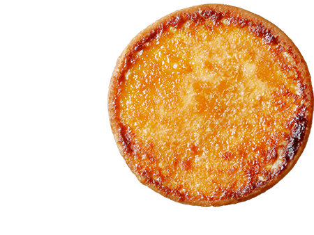 コガッジオのイラスト