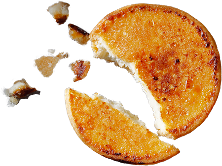 コガッジオのイラスト