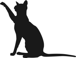 黒猫