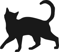 黒猫