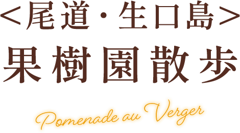 ＜尾道・生口島＞ 果樹園散歩