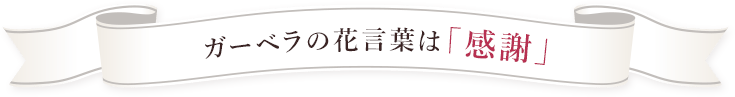 ガーベラの花言葉は「感謝」
