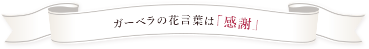 ガーベラの花言葉は「感謝」