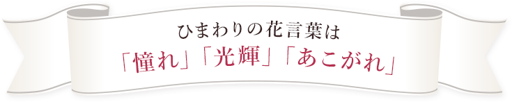 ガーベラの花言葉は「感謝」