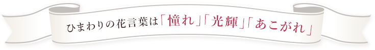 ガーベラの花言葉は「感謝」