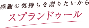 感謝の気持ちを贈りたいから