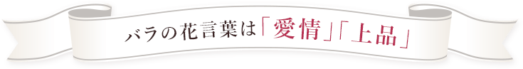 ガーベラの花言葉は「感謝」