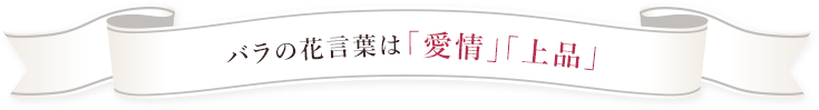 ガーベラの花言葉は「感謝」