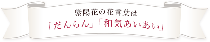 ガーベラの花言葉は「感謝」
