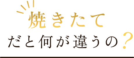 焼きたてだとなにが違うの？