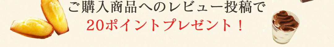 レビューキャンペーン実施中