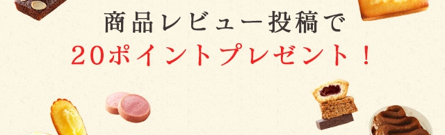 レビューキャンペーン実施中