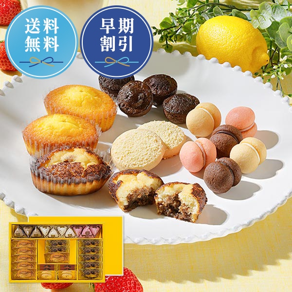 《お届けは8/31まで》ティラミス・ファンタジスタ M 7種31個入 通販でのご注文 M