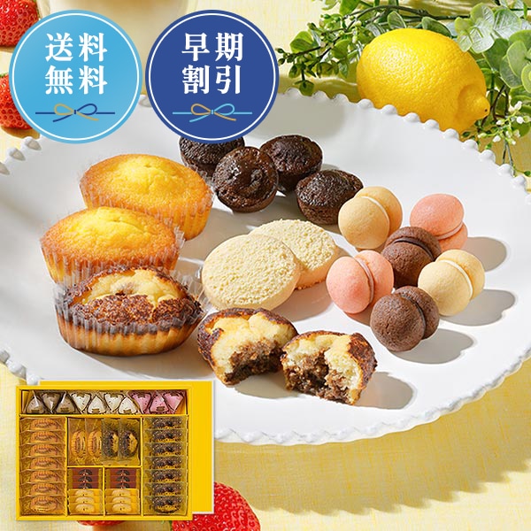 《お届けは8/31まで》ティラミス・ファンタジスタ L 7種40個入 通販でのご注文 L