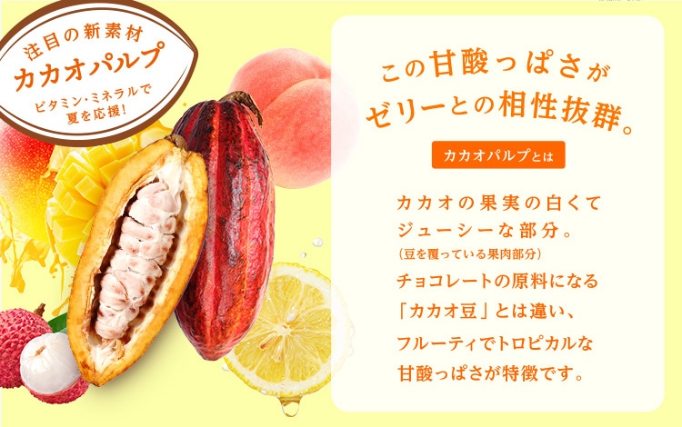 注目の新素材『カカオパルプ』のフルーツゼリー