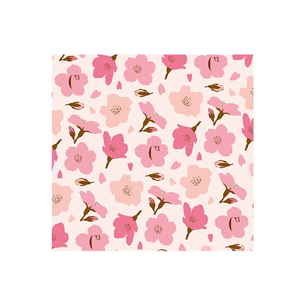 焼きティラミス12個入<春> 通販でのご注文 12個入