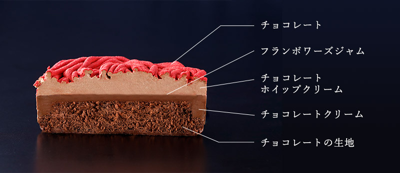 ケーキ断面図