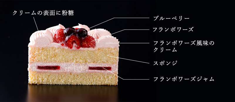 ケーキ断面図