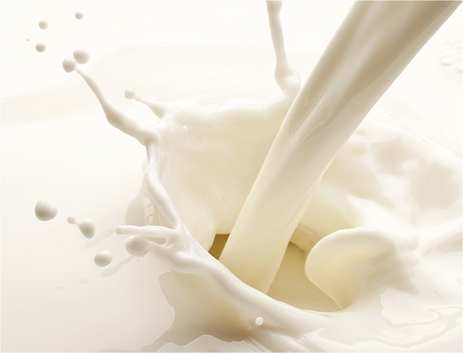 北海道産ミルク100%のオリジナルクリーム