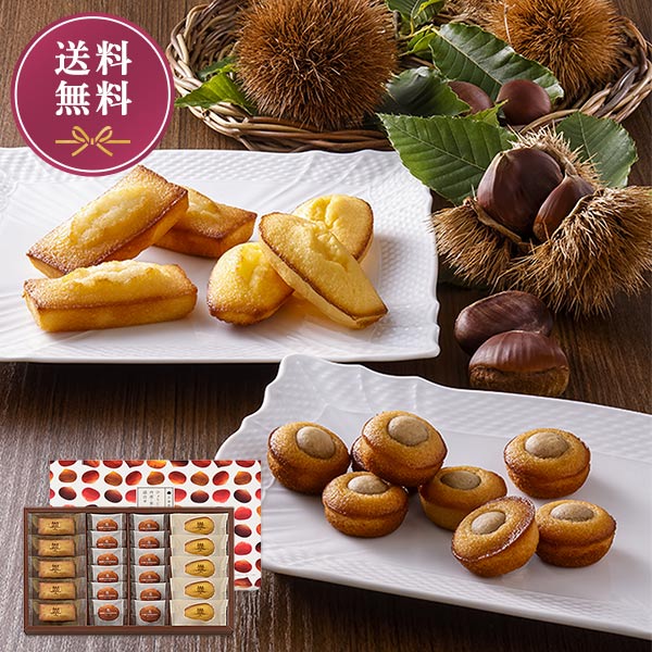 ひょうご五國豊穣 丹波・栗おどるマロンケーキ 詰合せ 22個入