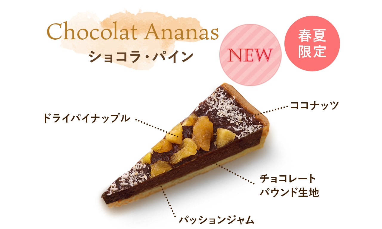 ショコラ・パイン