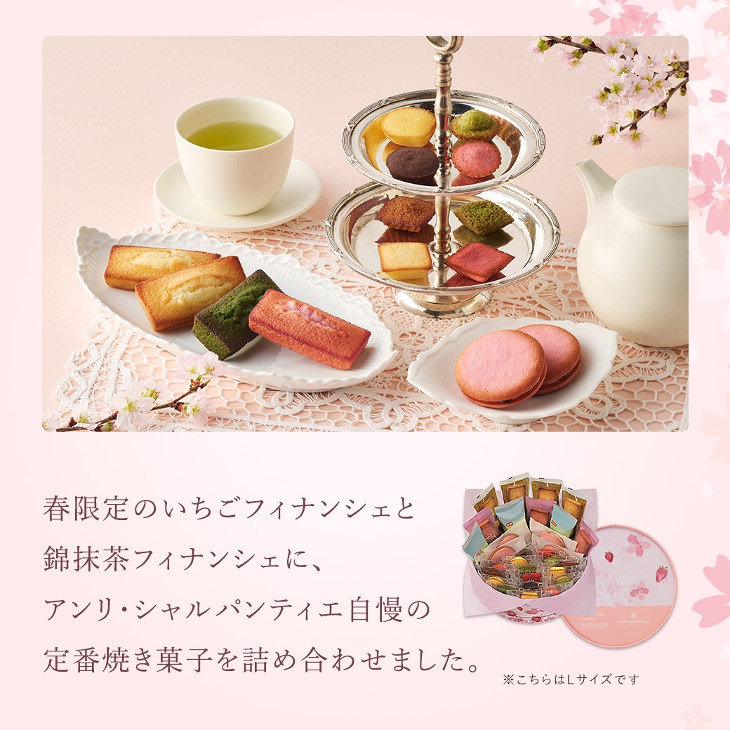 《お届けは2/17から》春のガトー・キュイ・アソート S 12種14個入 通販でのご注文 S(春)