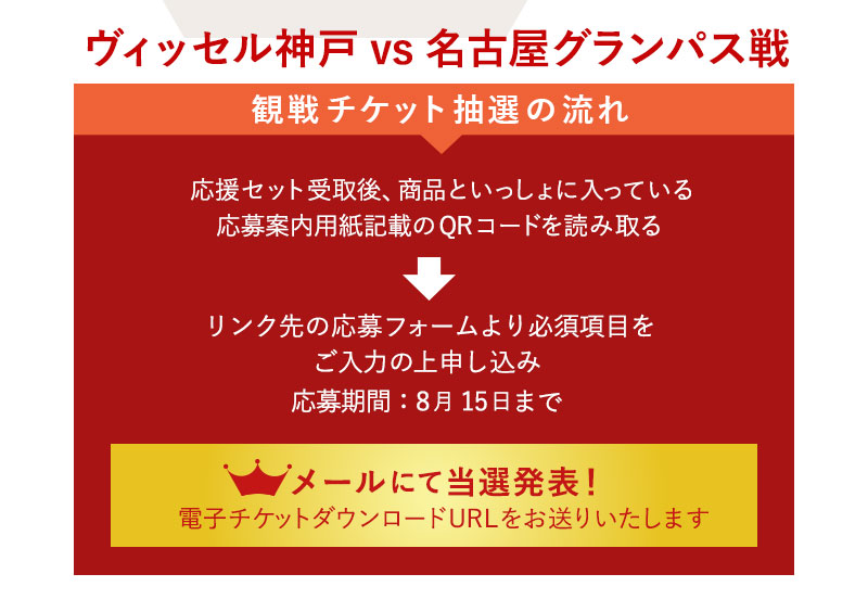ペア観戦チケット応募の流れ