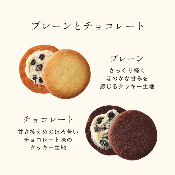 ラング・ド・シャ・アソート SSボックス 4種12個入 通販でのご注文 SS