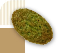 抹茶