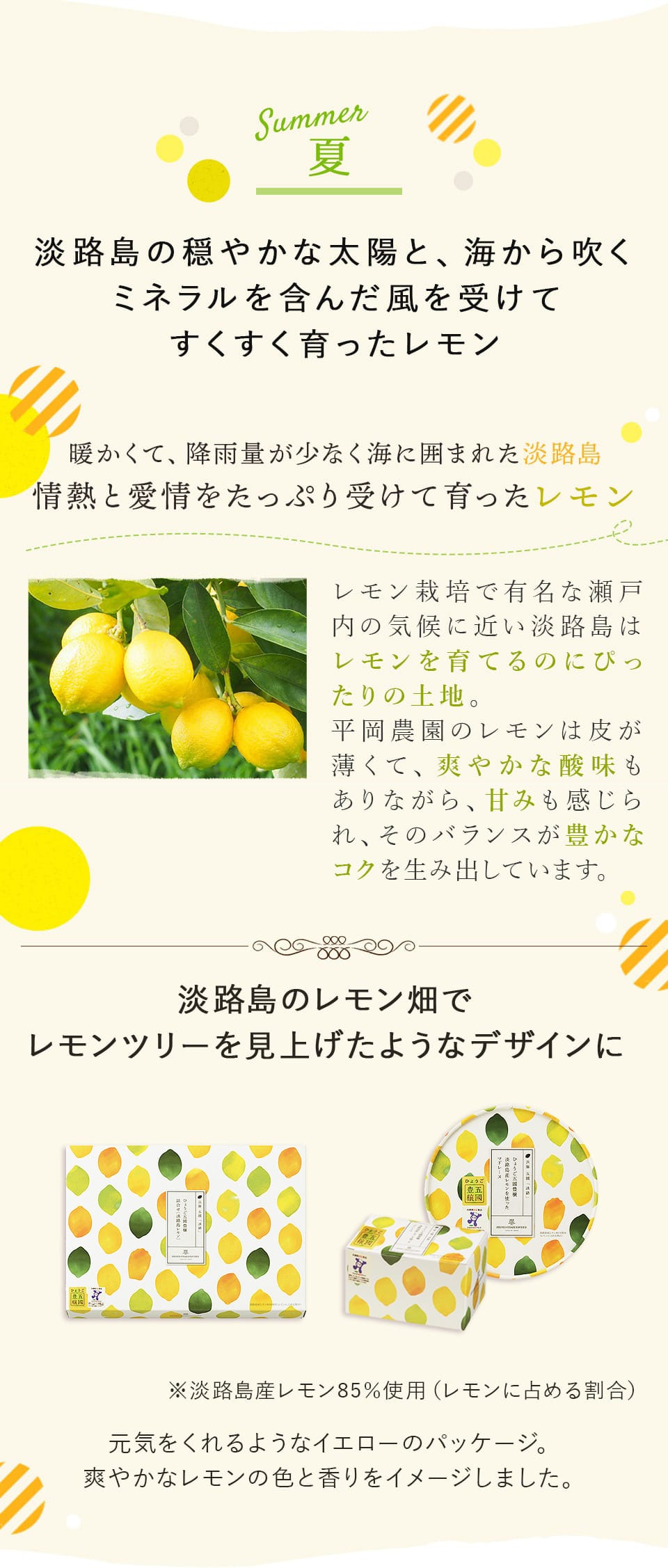 「ひょうご五國豊穣」レモンマドレーヌ