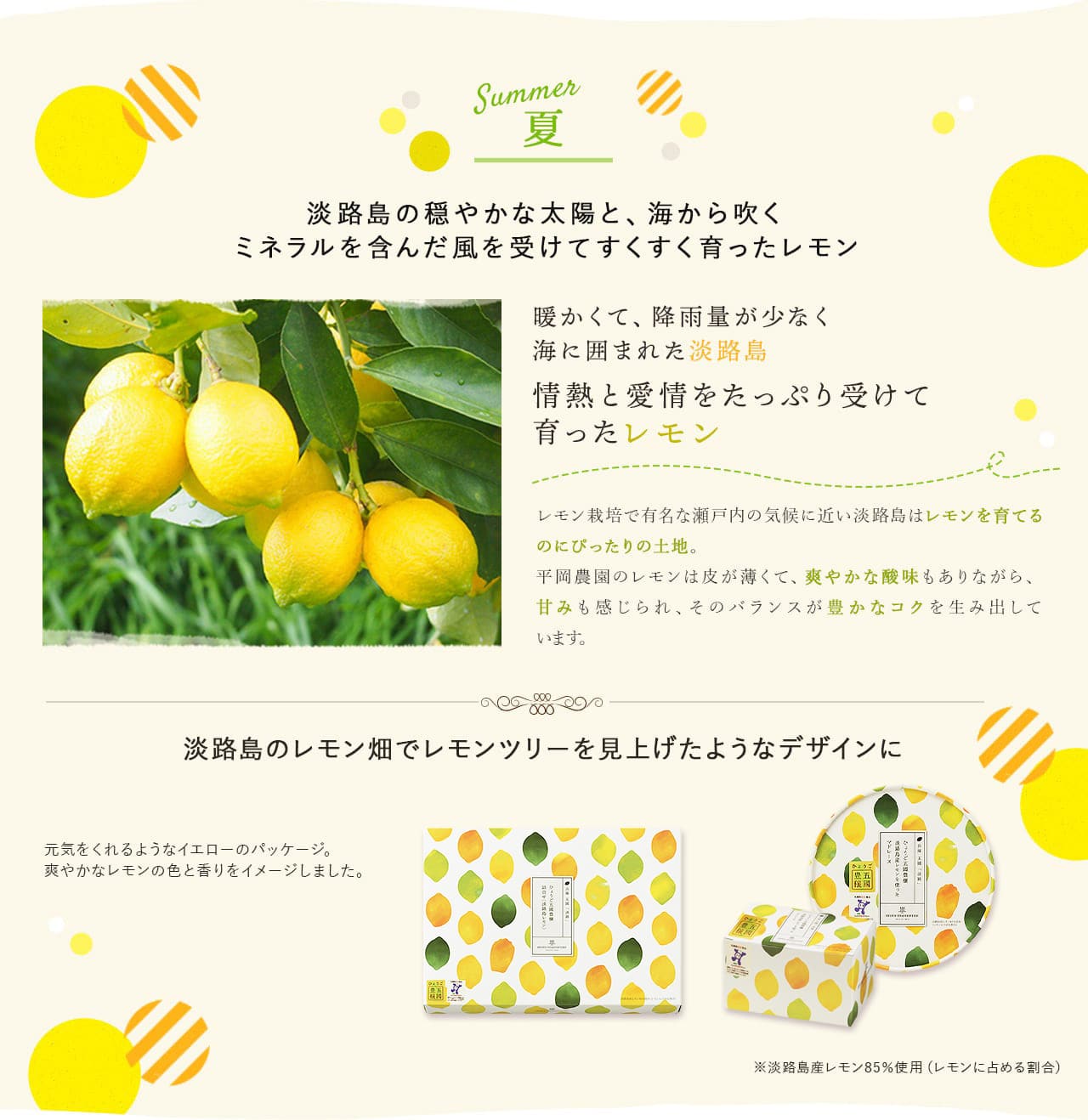 「ひょうご五國豊穣」レモンマドレーヌ