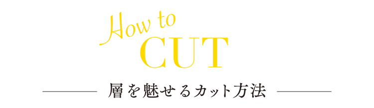 how to cut 層を魅せるカット方法